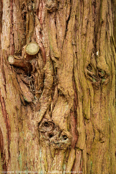 Tree bark Picture Board by Simon Johnson