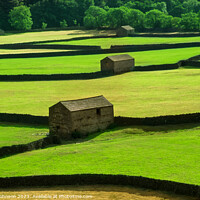 Buy canvas prints of Fields and barns by Simon Johnson