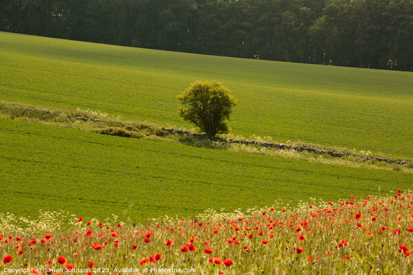  tree and Poppy field Picture Board by Simon Johnson