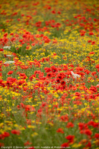 Poppy and wild flower  field Picture Board by Simon Johnson