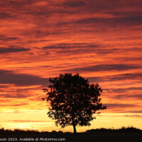 Buy canvas prints of tree silhouette at sunrise by Simon Johnson