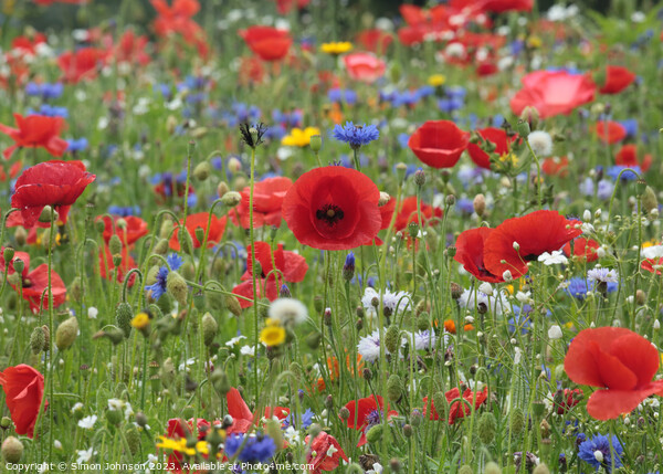 Vibrant Wildflower Medley Picture Board by Simon Johnson
