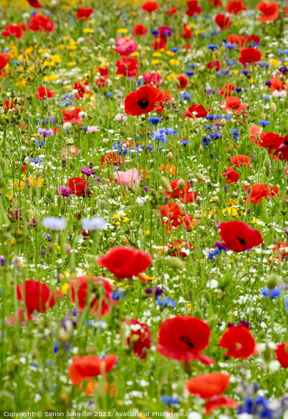 wild flower field Picture Board by Simon Johnson