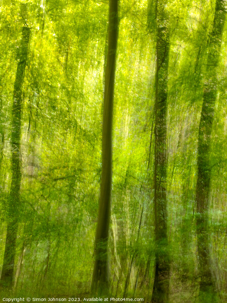 Woodland multiple exposure Picture Board by Simon Johnson