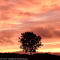 Buy canvas prints of Tree Silhouette at sunrise by Simon Johnson