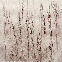 Buy canvas prints of A close up of a snow covered field by Simon Johnson