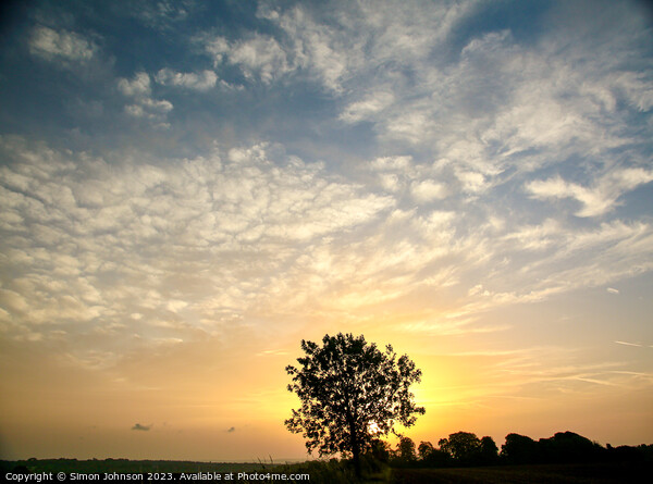  tree silhouette  at sunrise Picture Board by Simon Johnson