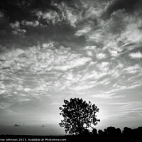 Buy canvas prints of Tree silhouette in monochrome by Simon Johnson