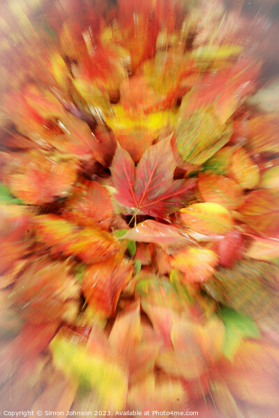 autumn collage Picture Board by Simon Johnson