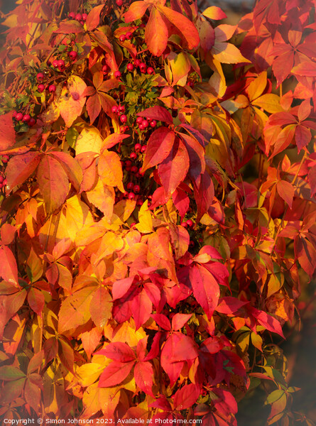 Autumnleaves Picture Board by Simon Johnson