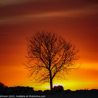 Buy canvas prints of tree silhouette  by Simon Johnson