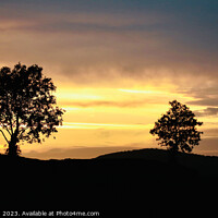 Buy canvas prints of A tree with a sunset in the background by Simon Johnson