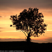 Buy canvas prints of Tree silhouette  by Simon Johnson