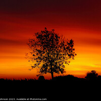 Buy canvas prints of Tree silhouette at sunset  by Simon Johnson