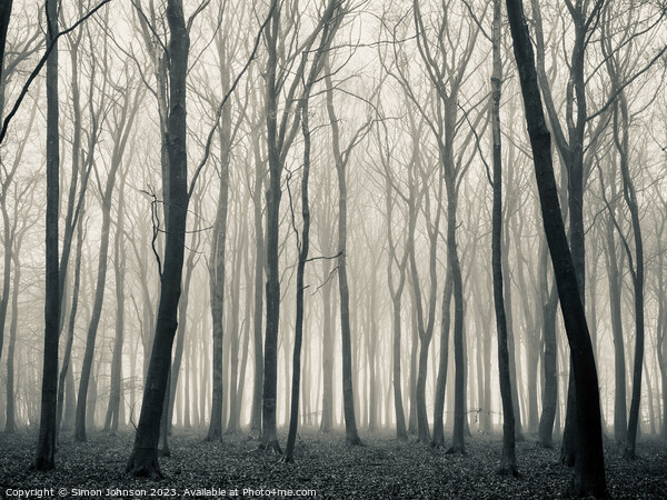 Woodland mist monochrome  Picture Board by Simon Johnson