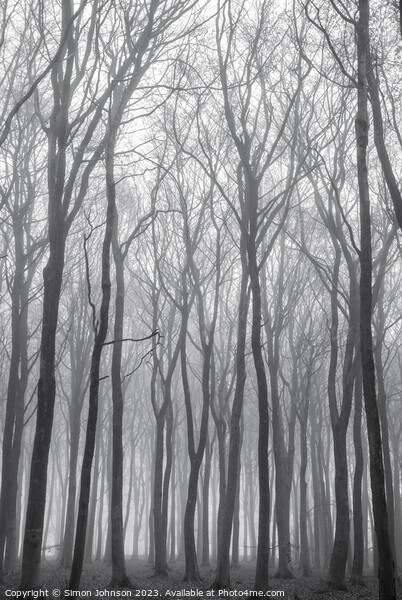 Woodland mist Picture Board by Simon Johnson