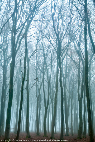 Woodland mist  Picture Board by Simon Johnson