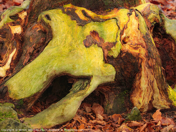 woodland bark with lichen Picture Board by Simon Johnson