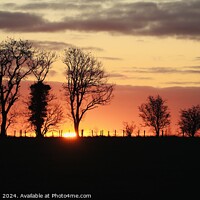 Buy canvas prints of A tree with a sunset in the background by Simon Johnson