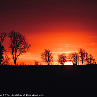Buy canvas prints of Tree silhouette sunrise  by Simon Johnson