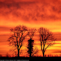 Buy canvas prints of Tree silhouette at sunrise  by Simon Johnson