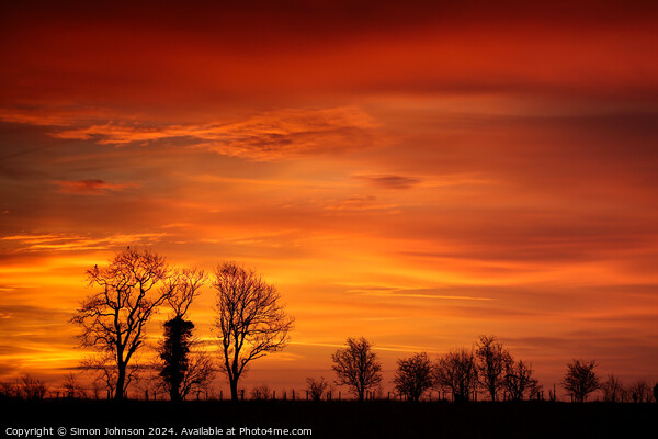 Tree silhouette at sunrise  Picture Board by Simon Johnson
