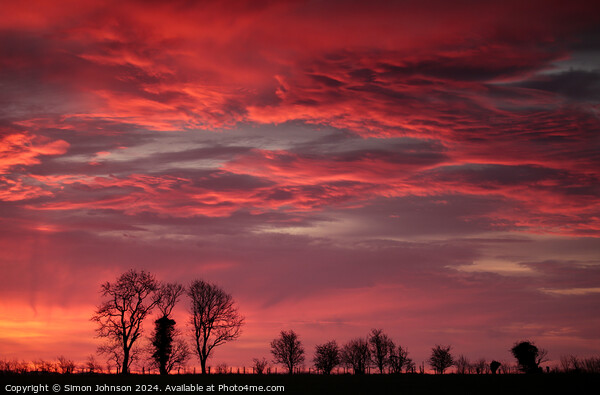 Tree silhouettes sunrise  Picture Board by Simon Johnson