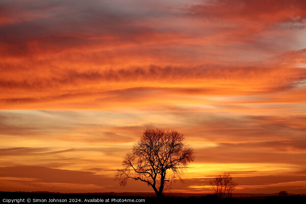 Cotswold Sunset  Picture Board by Simon Johnson