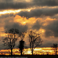 Buy canvas prints of Tree silhouettes  at sunrise  by Simon Johnson