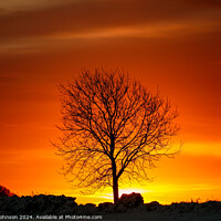 Buy canvas prints of tree silhouette  at sunrise by Simon Johnson