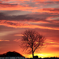 Buy canvas prints of Tree silhouette  at Sunrise by Simon Johnson