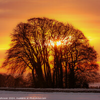 Buy canvas prints of Tree silhouette at  sunrise by Simon Johnson