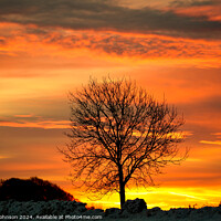 Buy canvas prints of  Tree silhouette at sunrise by Simon Johnson