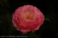 Click to show how this picture will look as a piece of wall art