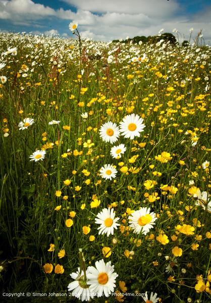Wildflower Meadow Cotswolds Landscape Picture Board by Simon Johnson