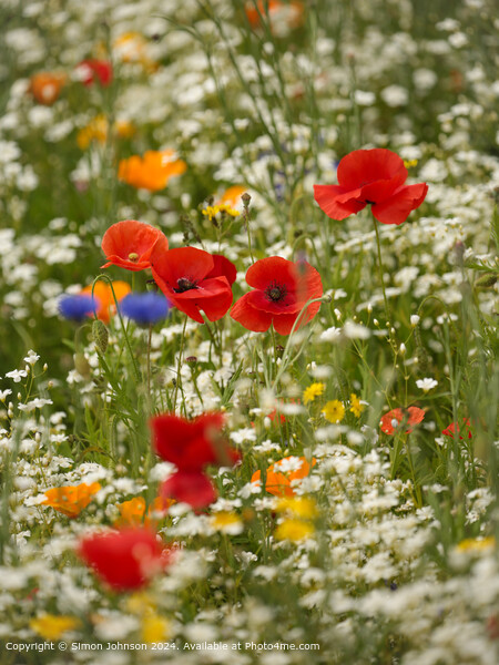 Cotswolds Flowers Landscape Picture Board by Simon Johnson