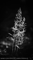 Click to show how this picture will look as a piece of wall art