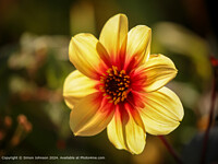 Click to show how this picture will look as a piece of wall art