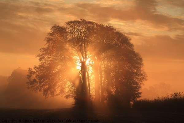 Misty Sunrise Picture Board by Simon Johnson