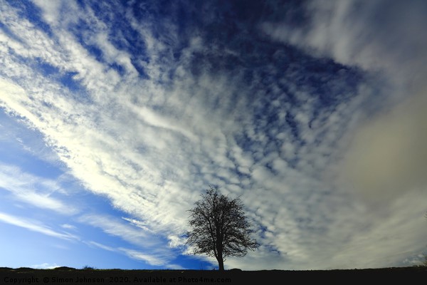 Tree and Clouds Picture Board by Simon Johnson