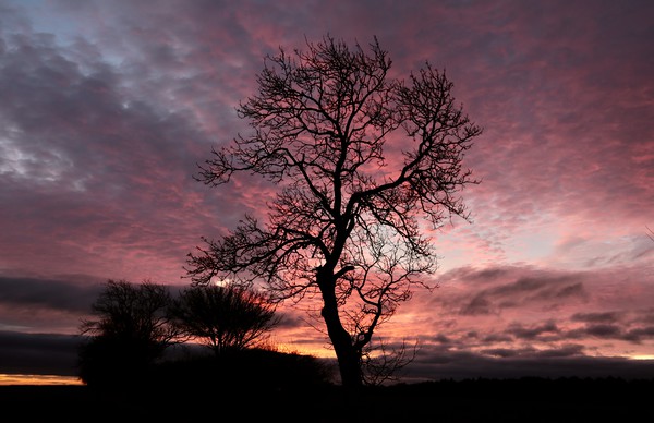 Cotswold Sunrise Picture Board by Simon Johnson