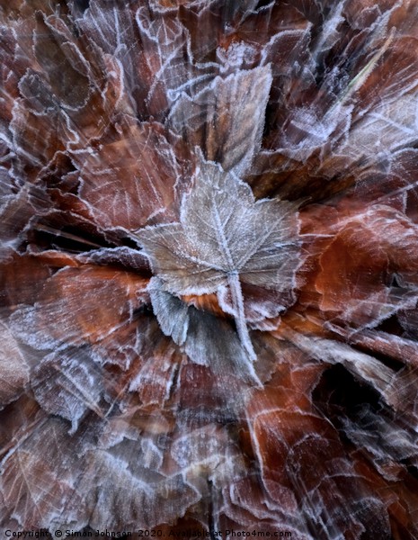 Frosted leaf Picture Board by Simon Johnson