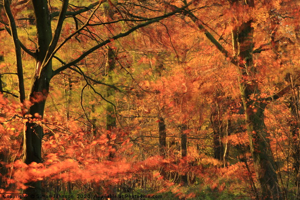 Autumn Wood and wind Picture Board by Simon Johnson