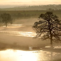 Buy canvas prints of Flood water by Simon Johnson