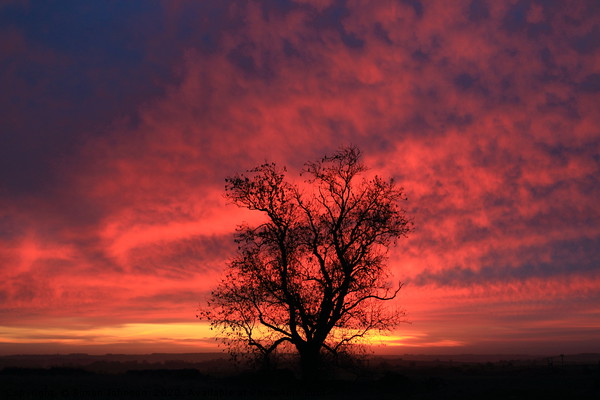 Dramatic Cotswold  Sunrise Picture Board by Simon Johnson