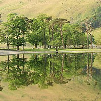 Buy canvas prints of Reflections Buttermere by Simon Johnson