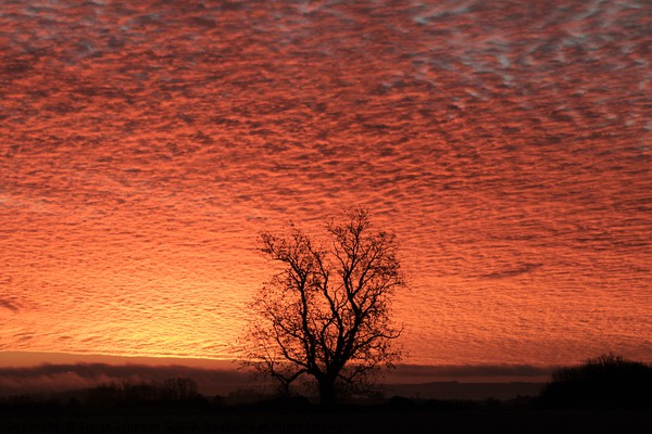 Sunrise sky Picture Board by Simon Johnson