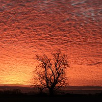 Buy canvas prints of Sunrise sky by Simon Johnson