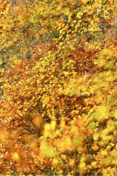 Impressionist image of autumn leaves Picture Board by Simon Johnson
