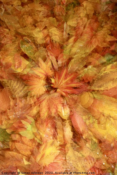Autumn Leaf Collage Picture Board by Simon Johnson